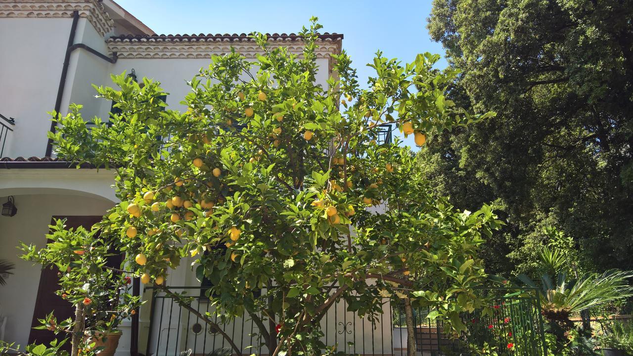 Hotel Cala Del Citro 마라테아 외부 사진